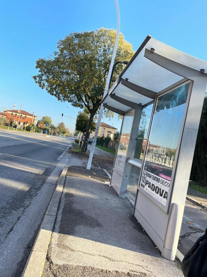 Appartamento Al Parco Padova Bagian luar foto